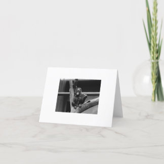 オランウータン カード