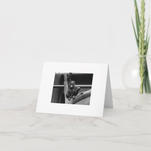 オランウータン カード (正面)