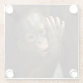 オランウータン ガラスコースター (裏面)