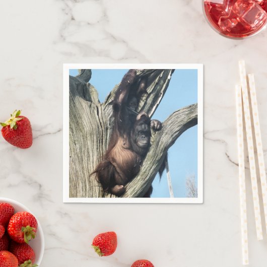 オランウータン スタンダードカクテルナプキン (インサイチュ)