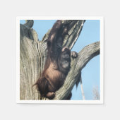 オランウータン スタンダードカクテルナプキン (正面)