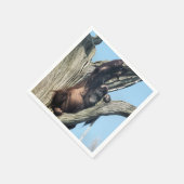 オランウータン スタンダードカクテルナプキン (角)