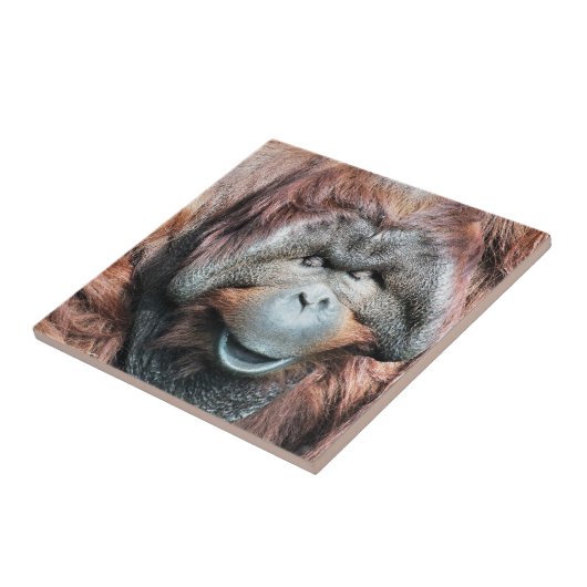 オランウータン タイル (側面)