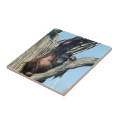 オランウータン タイル (側面)