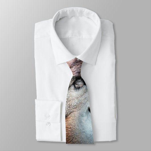 オランウータン ネクタイ (タイ)