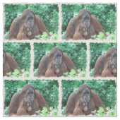 オランウータン ファブリック (見本)