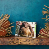 オランウータン フォトプラーク (側面)