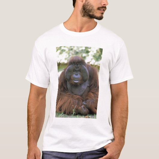 オランウータン ポンゴ ピグマエウス Tシャツ (正面)