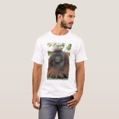オランウータン ポンゴ ピグマエウス Tシャツ (正面フル)