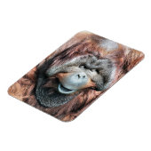 オランウータン マグネット (左側)