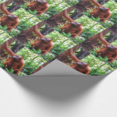 オランウータン ラッピングペーパー (角)