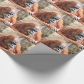 オランウータン ラッピングペーパー (角)