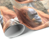 オランウータン ラッピングペーパー (ロールコーナー)