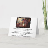 オランウータン&レインフォレストサンライト誕生日カード カード (裏面)