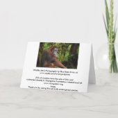 オランウータン&レインフォレスト誕生日カード カード (裏面)