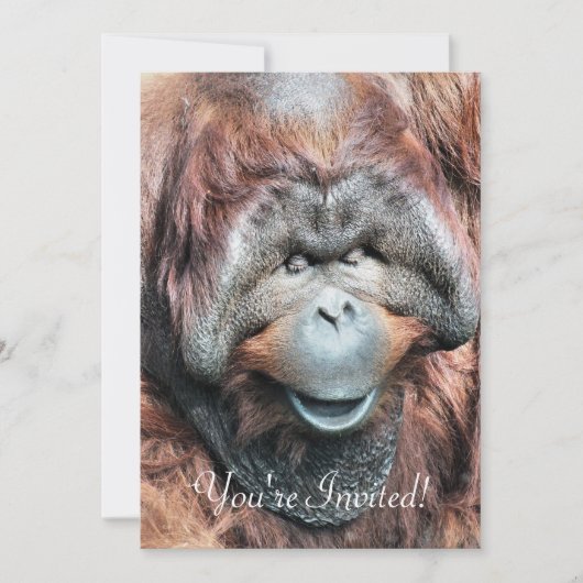 オランウータン 招待状 (正面)