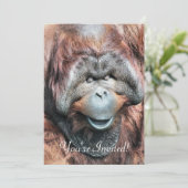 オランウータン 招待状 (スタンド正面)