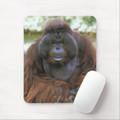 オランウータン Pongo Pygmaeus マウスパッド (マウス)