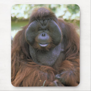 オランウータン Pongo Pygmaeus マウスパッド