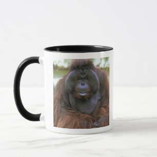 オランウータン Pongo Pygmaeus マグカップ