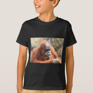 オランウータン Tシャツ