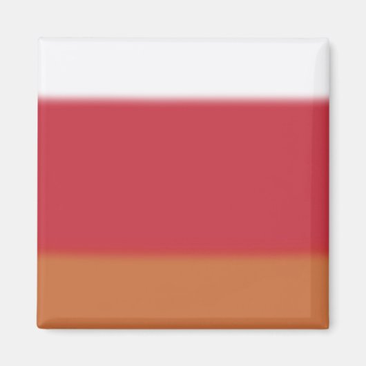 オランギグラデーションー マグネット (正面)