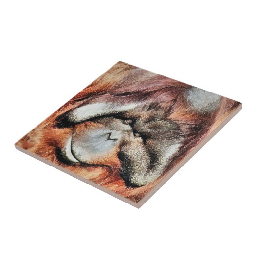 オラングタン タイル (側面)