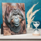 オラングタン フォトプラーク (側面)