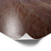 オラングタン フォトプリント            (角)