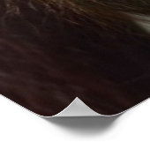 オラングタン ポスター (角)