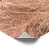 オラングタン ポスター (角)