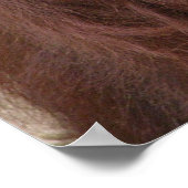 オラングタン ポスター (角)