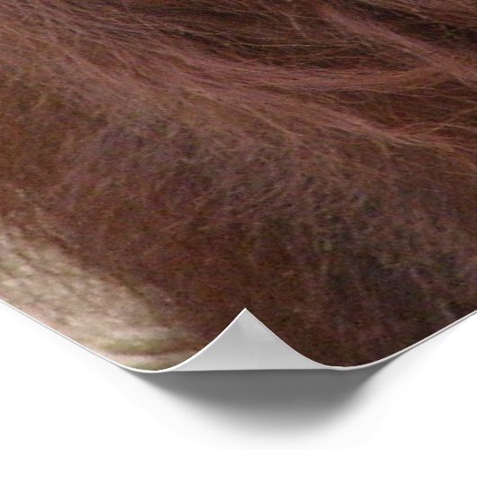 オラングタン ポスター (角)