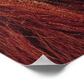 オラングタン ポスター (角)