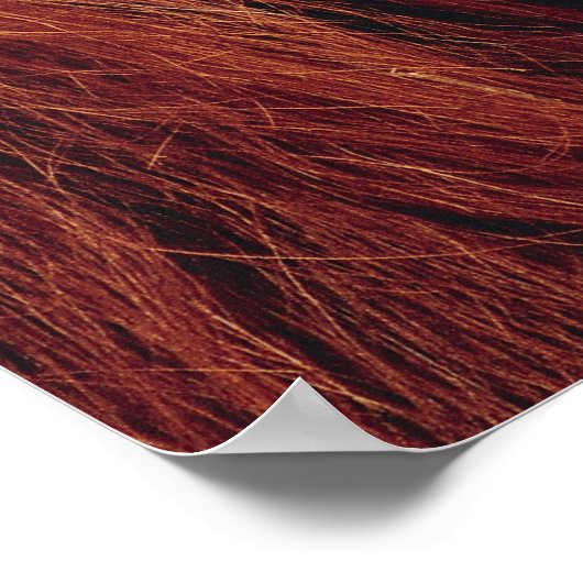 オラングタン ポスター (角)