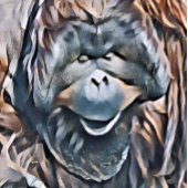 オラングタン ラッピングペーパーシート