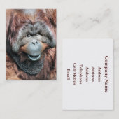 オラングタン 名刺 (正面/裏面)