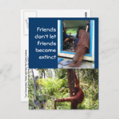 オラングユニークタンの写真 ポストカード (正面/裏面)