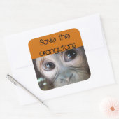 オラング救タン スクエアシール (封筒)