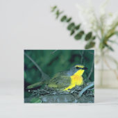 オランゲブレイトのモズ ポストカード (スタンド正面)