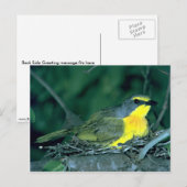 オランゲブレイトのモズ ポストカード (正面/裏面)