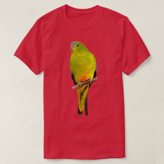 オランゲベリーオウム Tシャツ (デザイン正面)