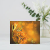 オランジェ ポストカード (スタンド正面)