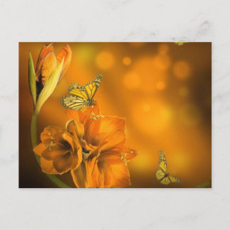 オランジェ ポストカード