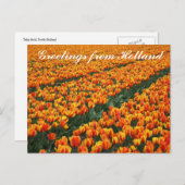 「オランダからのご挨拶」はがき ポストカード (正面/裏面)