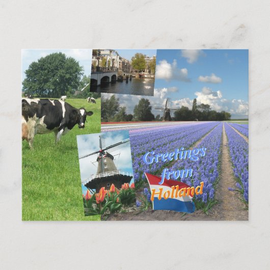 オランダからの挨拶 ポストカード (正面)