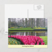 オランダからの挨拶 ポストカード (正面/裏面)