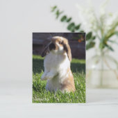 オランダが立ち上がる ポストカード (スタンド正面)