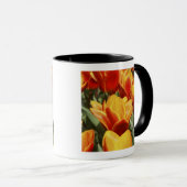 オランダのケウケンホフ公園にはチューリップが多い。 マグカップ (正面右)