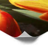 オランダのケウケンホフ庭園にはチューリップが点在する。 ポスター (角)